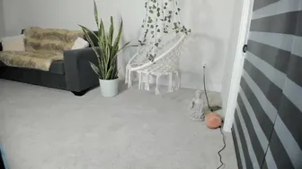 hippybabee free cam videos May-20-2022