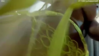 girlboss Busty chick exposes her charms