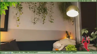 terraforest Cute young lady shows off beautiful tits