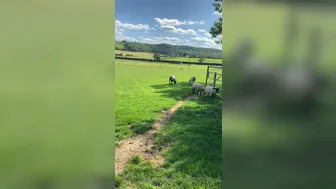 Savana Sky aka thatslutsav onlyfans 21/08/2022 camshow record