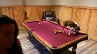 Luna Star aka cutelunastar onlyfans appetizing stallion takes off her black panties