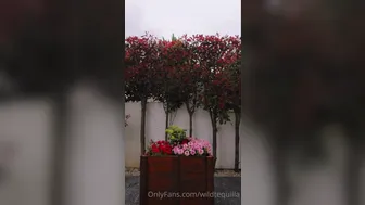 Liliana aka wildtequilla onlyfans 14-01-2022 latest camshow porn