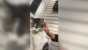 fitbryceadams onlyfans watch 6/august/2022 online cam work