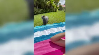 fitbryceadams onlyfans 2 july 2022 latest porn