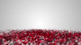 Ashley Lucero onlyfans 10_01_2022 camcording