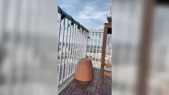 Bella aka bansheebel onlyfans 8-01-2022 camcording