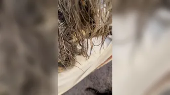 fitbryceadams onlyfans insatiable mamashka