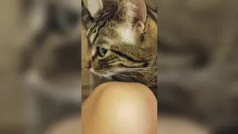 Ember Snow aka embersnow onlyfans watch 12-08-2022 camshow record