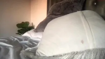 blondiebabbby420 chaturbate watch 31-september-2022 camshow record