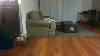 littleone491 chaturbate fresh webcam april-9-2023 camrecord