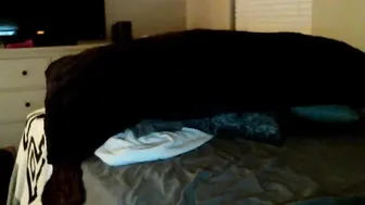 PeytonMoaning jerking close up