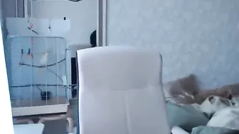 artmaya Naughty chicks fuck phallus