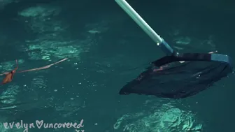 Evelynuncovered onlyfans Porn_17