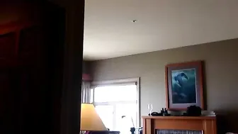 diamondlover123 Shrews passionately fucks anus