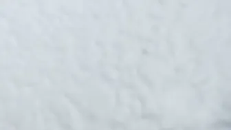 bunni Wonderful doll dolls sisyadry