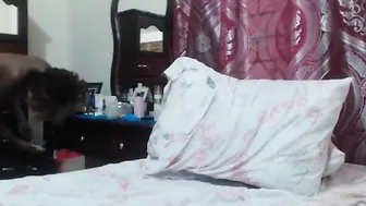 icequeenebony flashed nipples