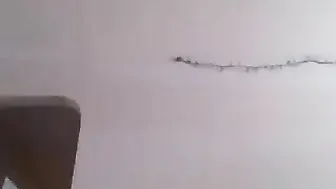 alwysu2 myfreecams