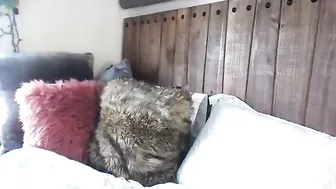 kristennn Busty hottie caresses shaved pussy