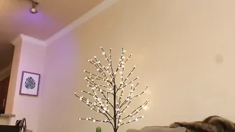 alexa put on display his chest