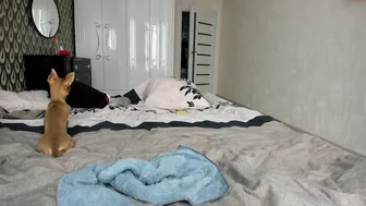 brandiloveee Charming bitch shows breasts