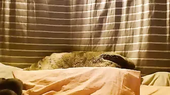 adrey Wonderful queen indulges in sex toy