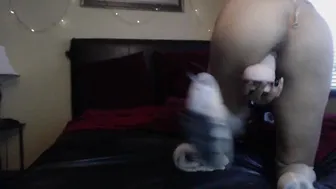 AgentSexyHot Blissful chick strips small tits