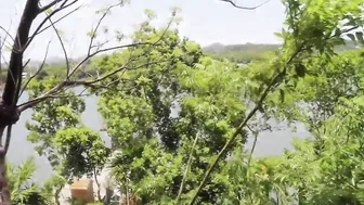 LilyIvy Lustful ladies lick wet pussies