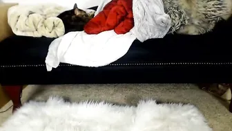 Jazmynn_M Cute Milf Fucks Shaved Cunt