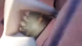 Kitten Sophie Crazy brunette seduces with big tits