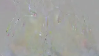 Maya_di scene 2.02.2019