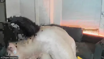 delightfulhug Thick mare pulls off with a dildo