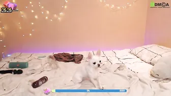 hotschneewittchen Phenomenal queen blissfully pleased themselves