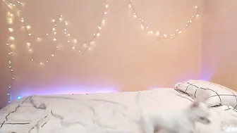 hotschneewittchen video from ticket show 7.03.2019