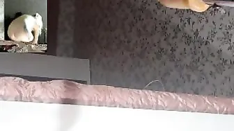 Sexdetka777 recording 28.02.2019