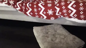 Ddesireee live video 15.02.2019