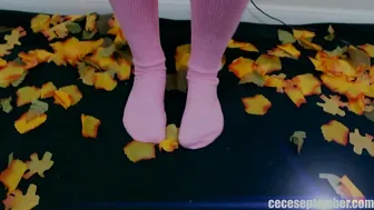 porn vids  screening 23.02.2019