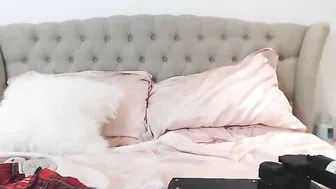 kitten_sophie screen 11.03.2019