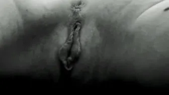 gingermfc ticket show 15.02.2019