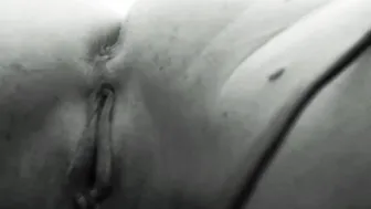 gingermfc ticket show 15.02.2019