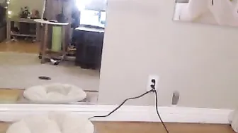 robyn___ myfreecams 26.02.2019