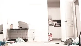 lil_piglet I forgot to close the fries and turn on  private e