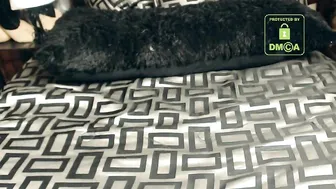 shawn_geni Delightful games and