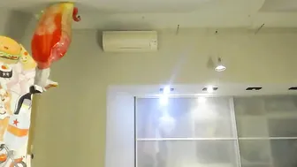 staceyadams video 23.02.2019