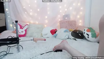 KittyNeko live video 3.02.2019
