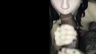 AlexaBlancOh janka-hooligan has fun with cute