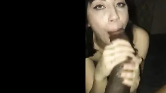 AlexaBlancOh janka-hooligan has fun with cute