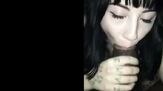 AlexaBlancOh janka-hooligan has fun with cute