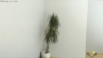 sexywetcoachx_ luxurious bitch caresses tits and sucks dick